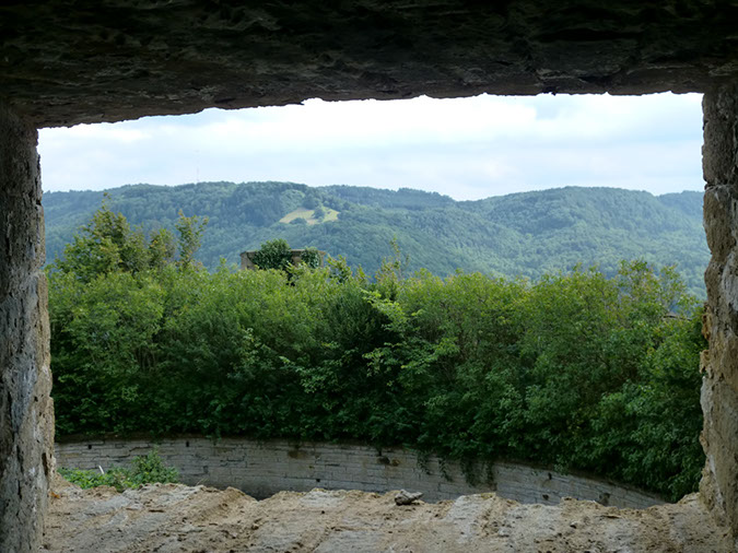 CIMG0826