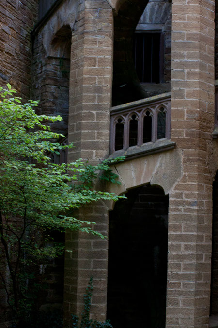 IMG_5664