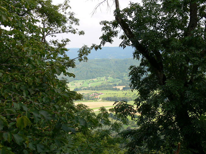 P1090010