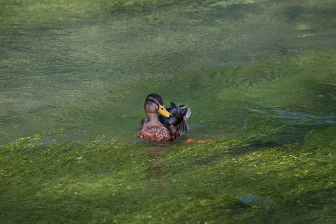 IMG_5907