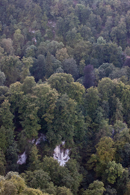 IMG_5927