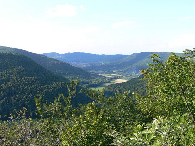 P1090064
