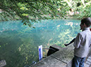 DSCF2161