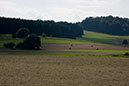IMG_5891