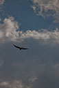 IMG_5893