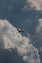 IMG_5894