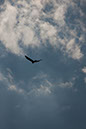 IMG_5895