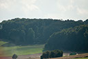 IMG_5901