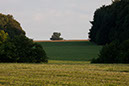 IMG_5936