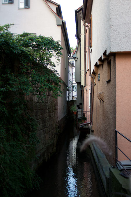 IMG_5734